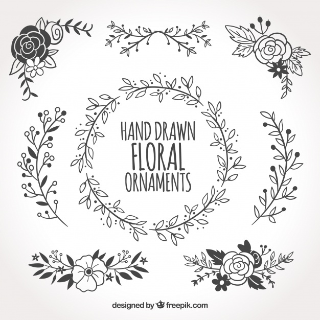 626x626 Collection Of Hand Drawn Floral Ornaments Vector Free Download