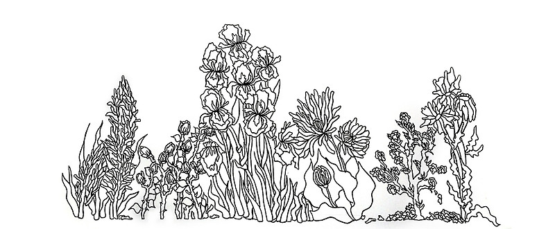 800x331 Stylized Floral Line Drawing Mugs By Hidinart Redbubble