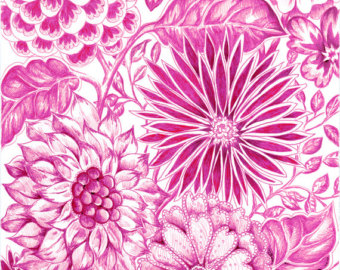 340x270 Floral Art Queen Anne's Lace Giclee Print Of White