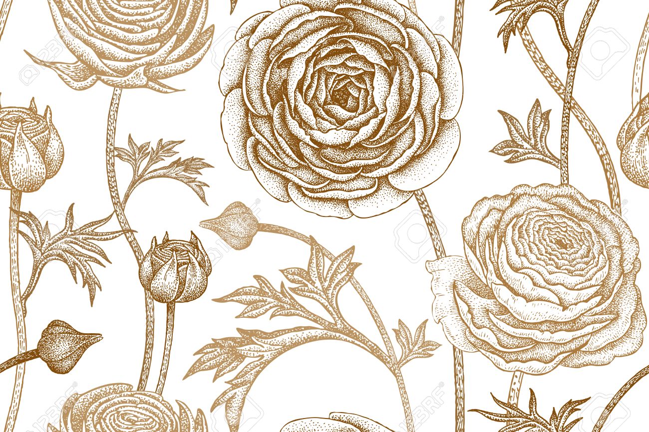 Floral Print Drawing at GetDrawings | Free download