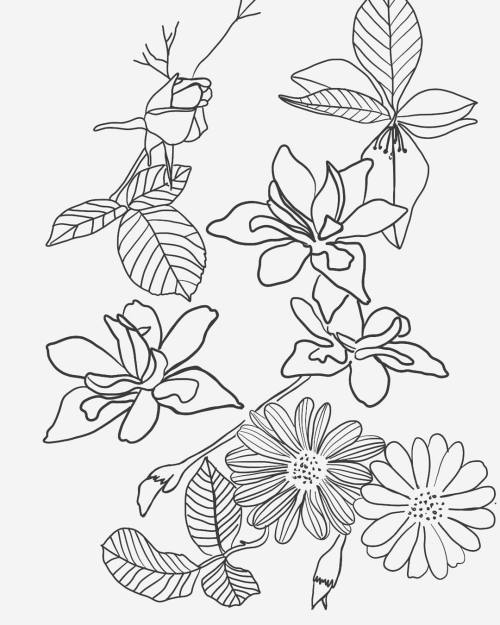 500x625 Waters Of March