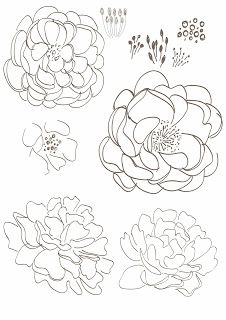 226x320 7 Best Mh Images On Floral Drawing, Draw Flowers