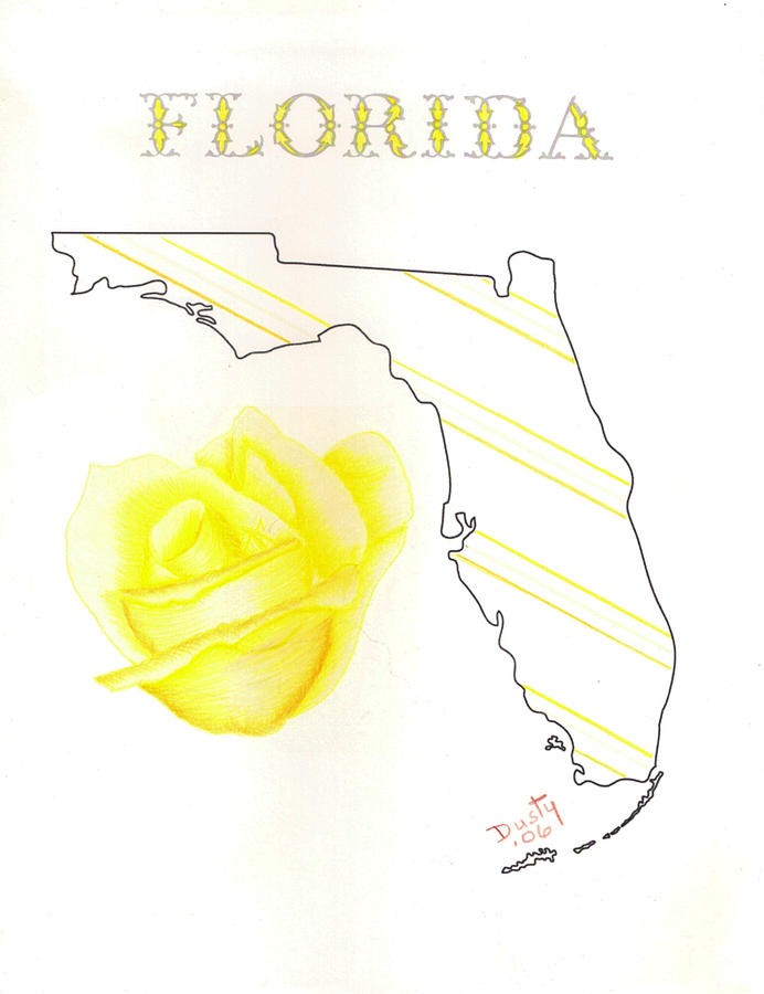 692x900 State Of Florida Drawing By Dusty Reed