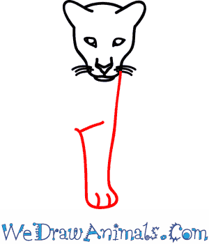 300x350 How To Draw A Florida Panther