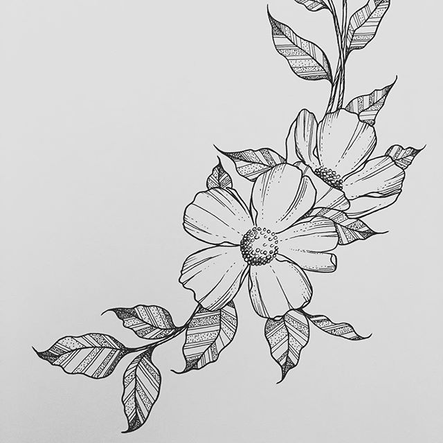 640x640 Pictures To Draw Flowers