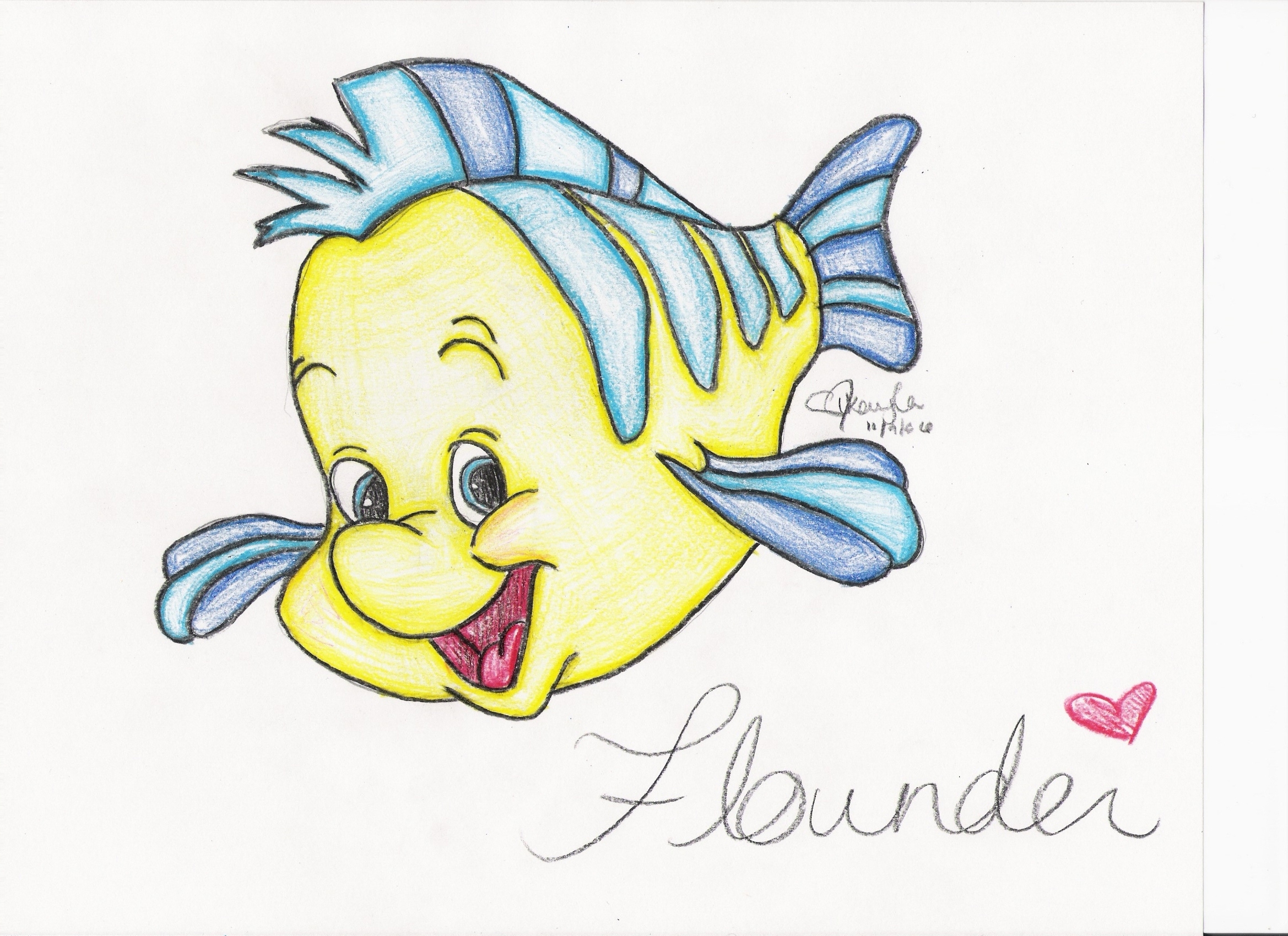 Drawing Of Flounder at Ernestina Corliss blog