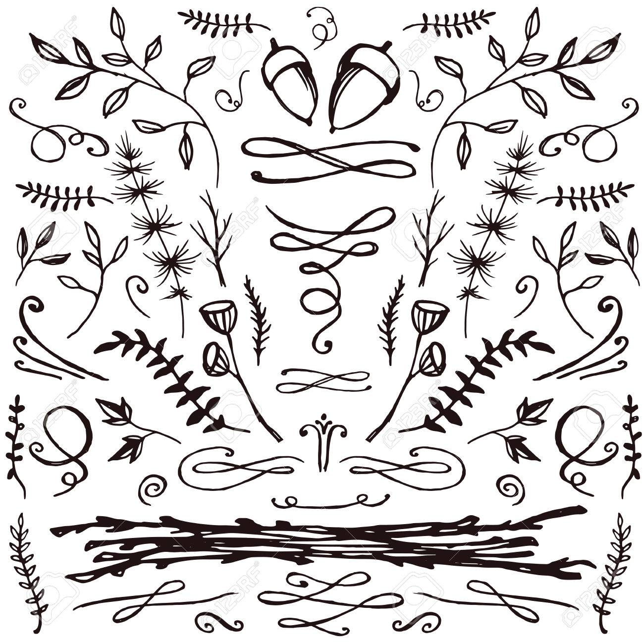 1300x1300 Set Of Hand Drawn Florals And Flourishes. Decorative Elements
