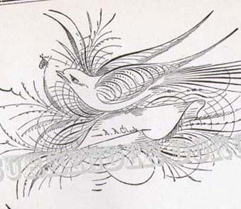 339x294 Bird Flourishes Advance Victorian Calligraphy 1886 Victorian