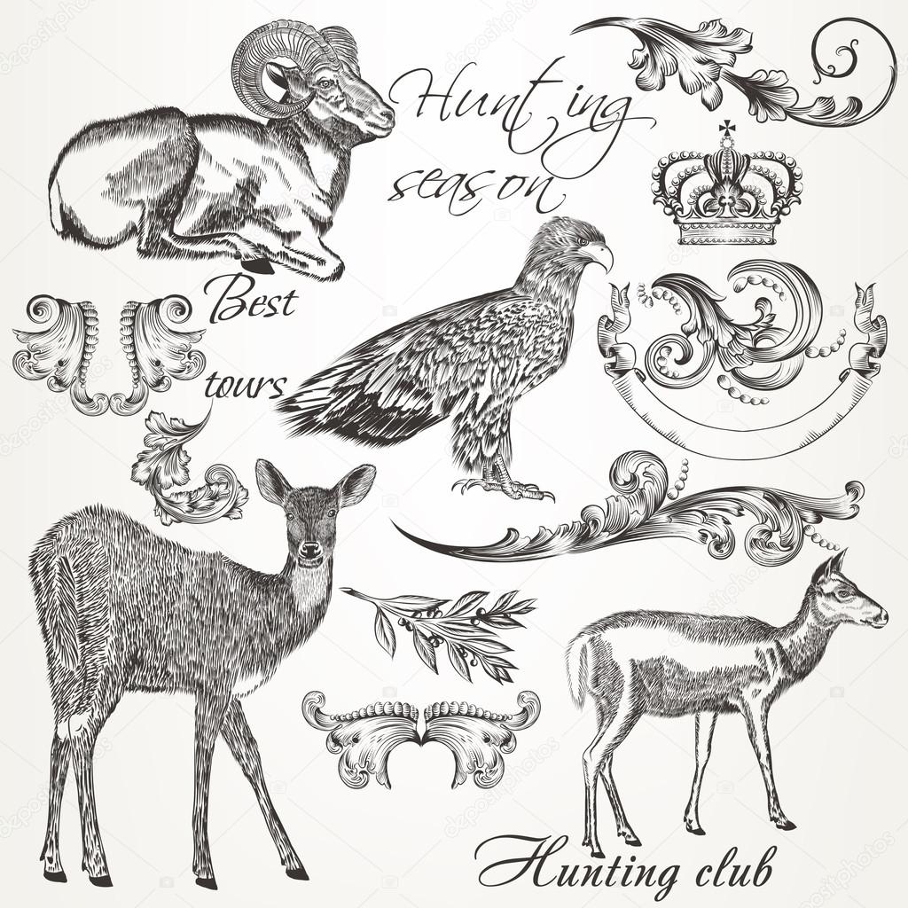 1024x1024 Collection Of Vector Hand Drawn Animals And Flourishes In Vintag