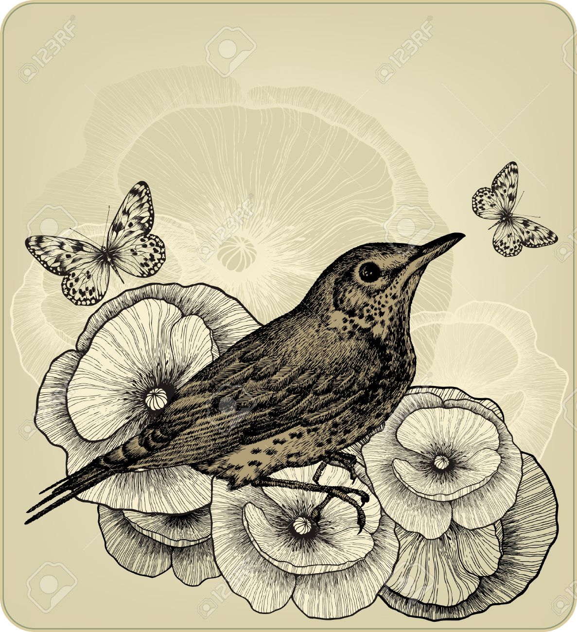 1187x1300 Background With Poppy Flowers And Bird Fieldfare, Hand Drawing
