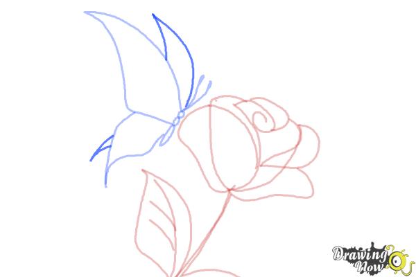 600x400 How To Draw A Butterfly On A Flower