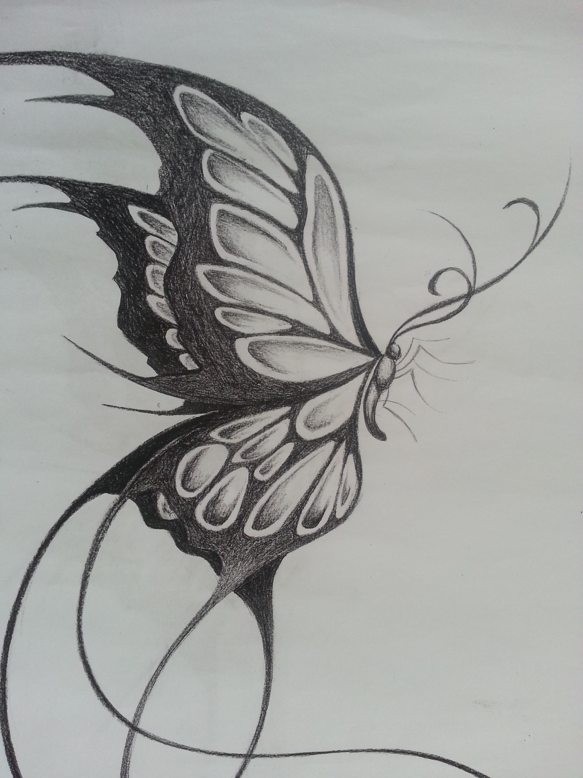 2448x3264 Original Design Of A Large Butterfly Things I Like