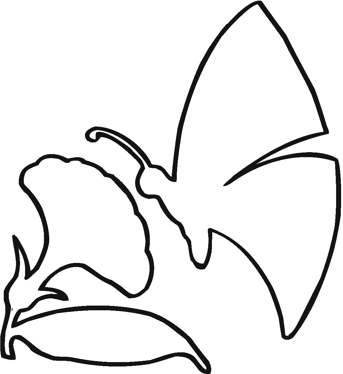 1094x1192 Outline Drawing Of Flowers Butterfly The Flower Outline Coloring