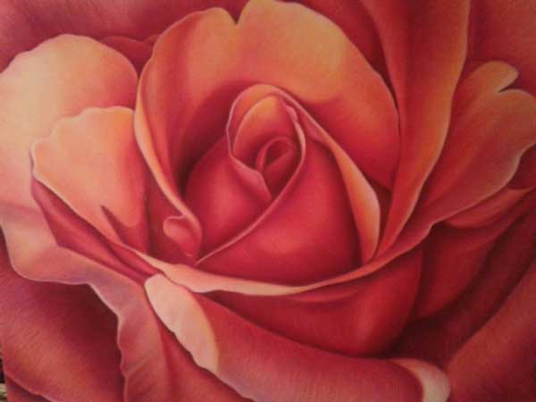 600x450 Drawing Flowers, How To Draw Flowers, Lee Hammond Artist, Art