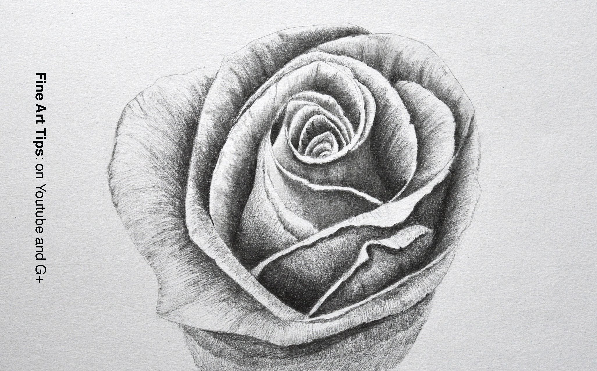 2053x1276 Drawing Flowers How To Draw A Rose With Pencil
