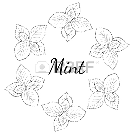 450x450 Round Frame, Banner With Mint Leaves, Peppermint Branch, Flower