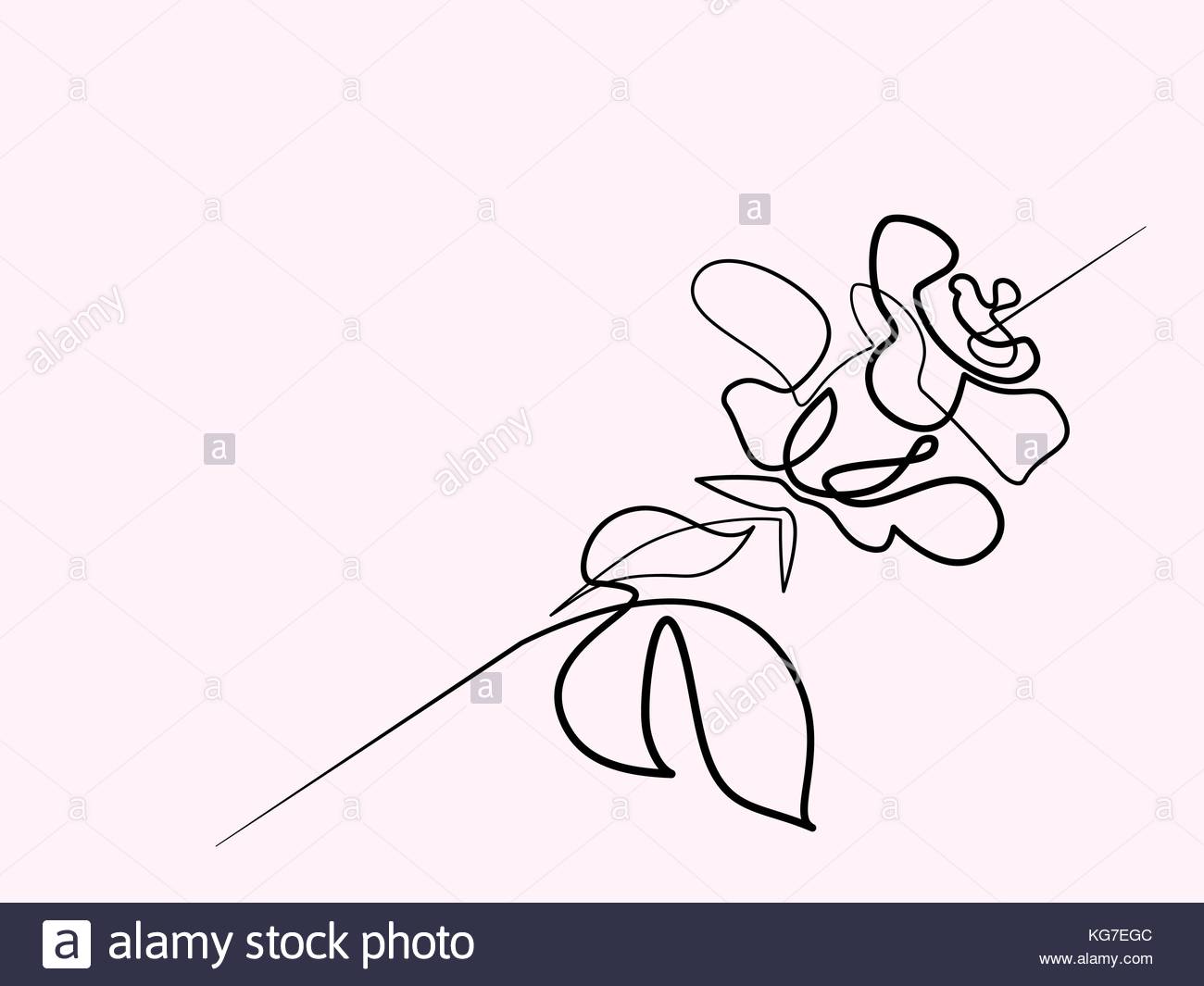 1300x1065 Continuous One Line Drawing. Beautiful Rose Flower Logo. Vector