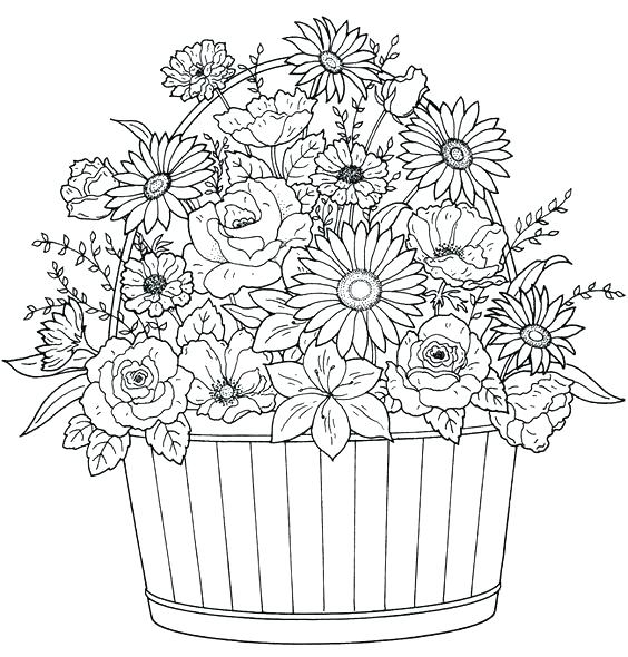 564x590 Flower Basket Coloring Pages