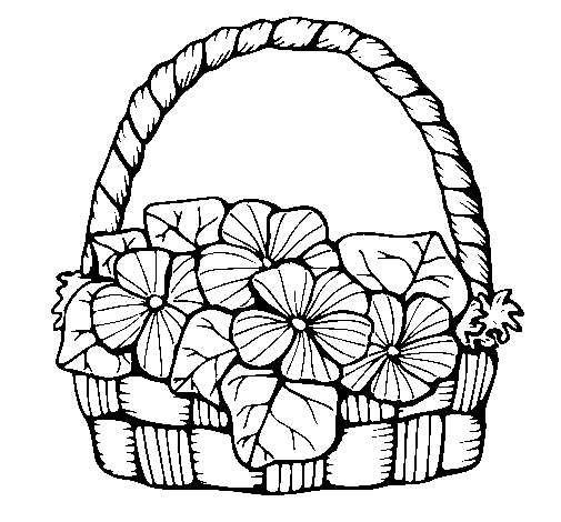 505x470 Basket Of Flowers 6 Coloring Page