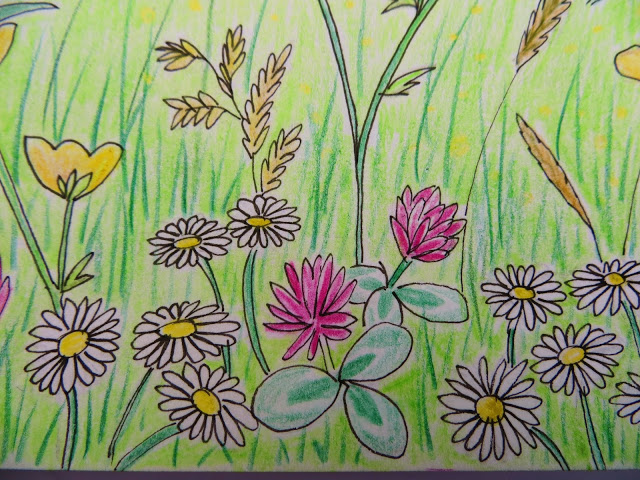 640x480 Flowers Garden Drawing For Kids Decorating Clear