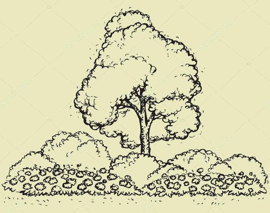 1023x809 Tree Over Flowerbed. Vector Sketch Stock Vector Marinka