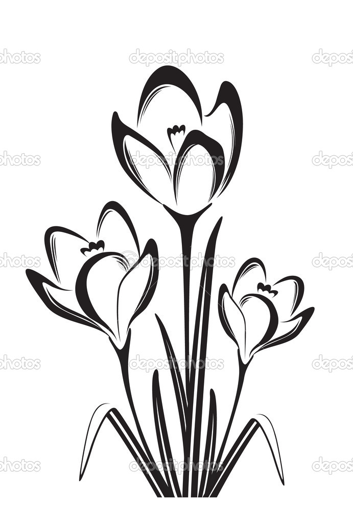 691x1024 Flower Black And White Drawing