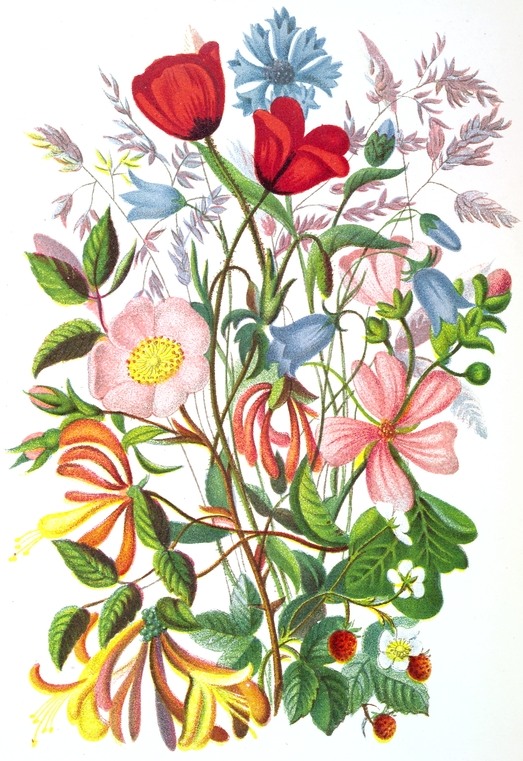 523x761 Colorful Bouquet Drawing