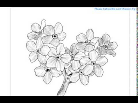480x360 How To Draw A Bunch Of Flowers