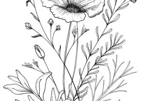 300x210 Drawings Of Flowers Tumblr