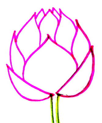 334x400 How To Draw A Lotus