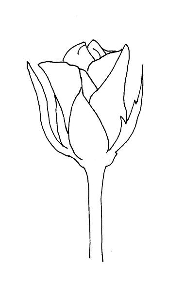 379x624 To Create Your Own Rose Bud Drawing Begin By Lightly Sketching