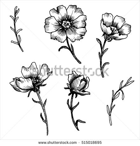 Flower Bud Drawing at GetDrawings | Free download