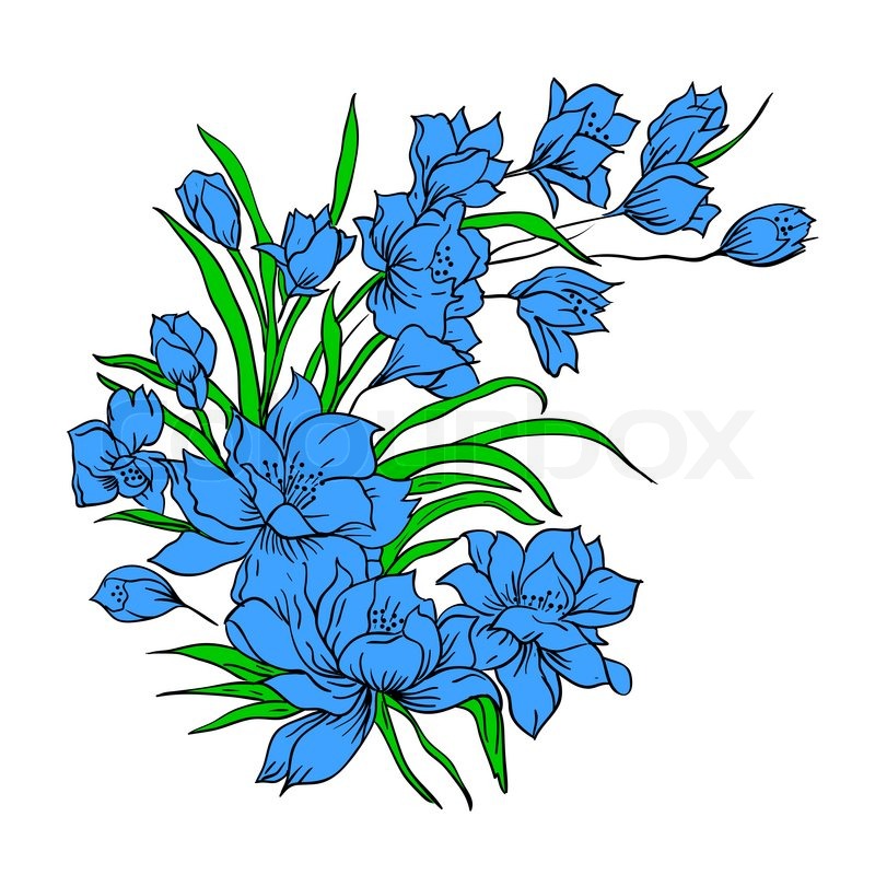 800x800 Flower Bouquet, Painted By Hand Stock Photo Colourbox