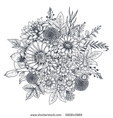 450x470 Photos Sketch Drawings Of Flowers,