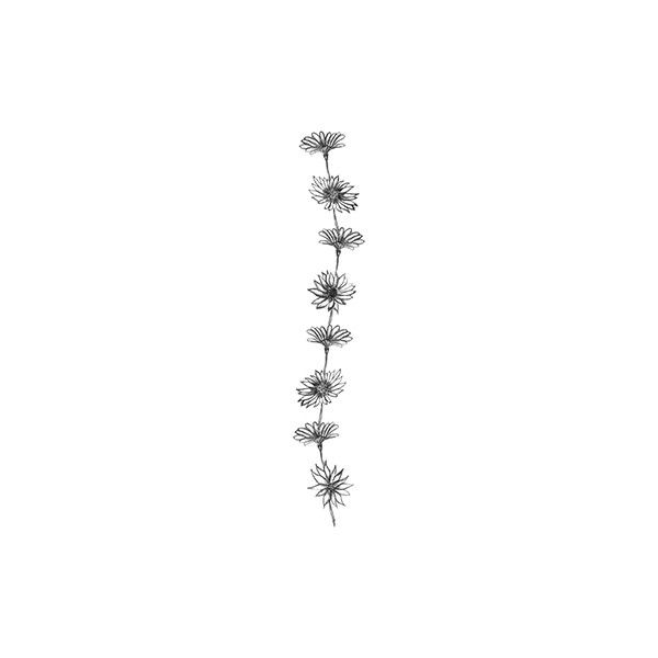 600x600 Daisy Chain Drawing