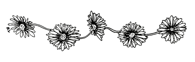 750x241 Daisy Chain Uploaded By Alenaa On We Heart It