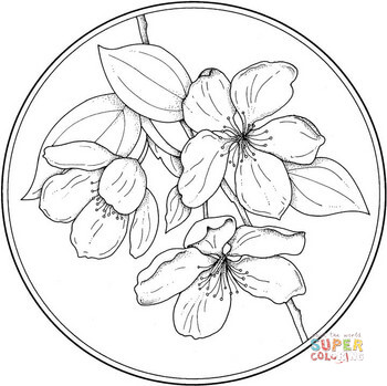 350x349 Circle With Flower Coloring Page Free Printable Coloring Pages
