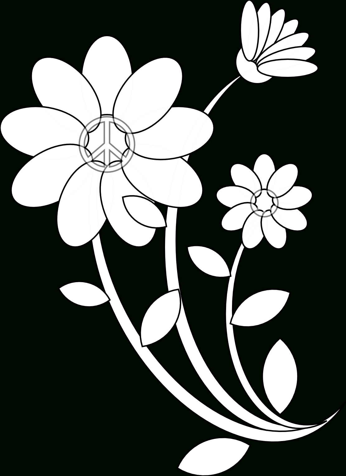1111x1525 Flower Line Drawings Flowers Line Drawing Free Download Clip Art