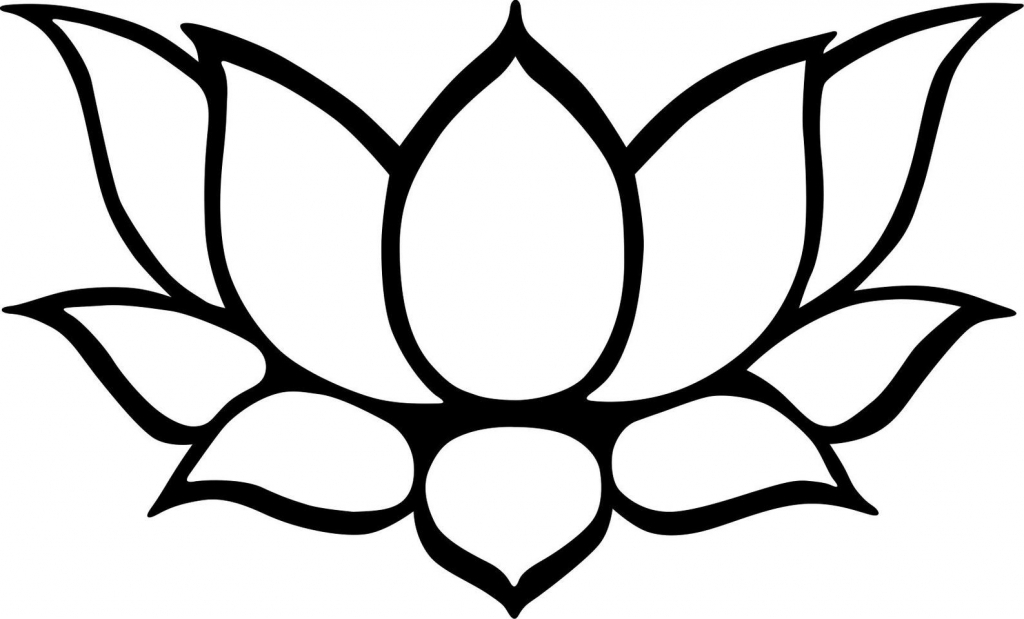 1024x619 How To Draw A Lotus Flower How To Draw A Lotus Flower Clipart Free