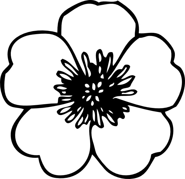 600x582 Buttercup Flower Clip Art Free Vector In Open Office Drawing Svg