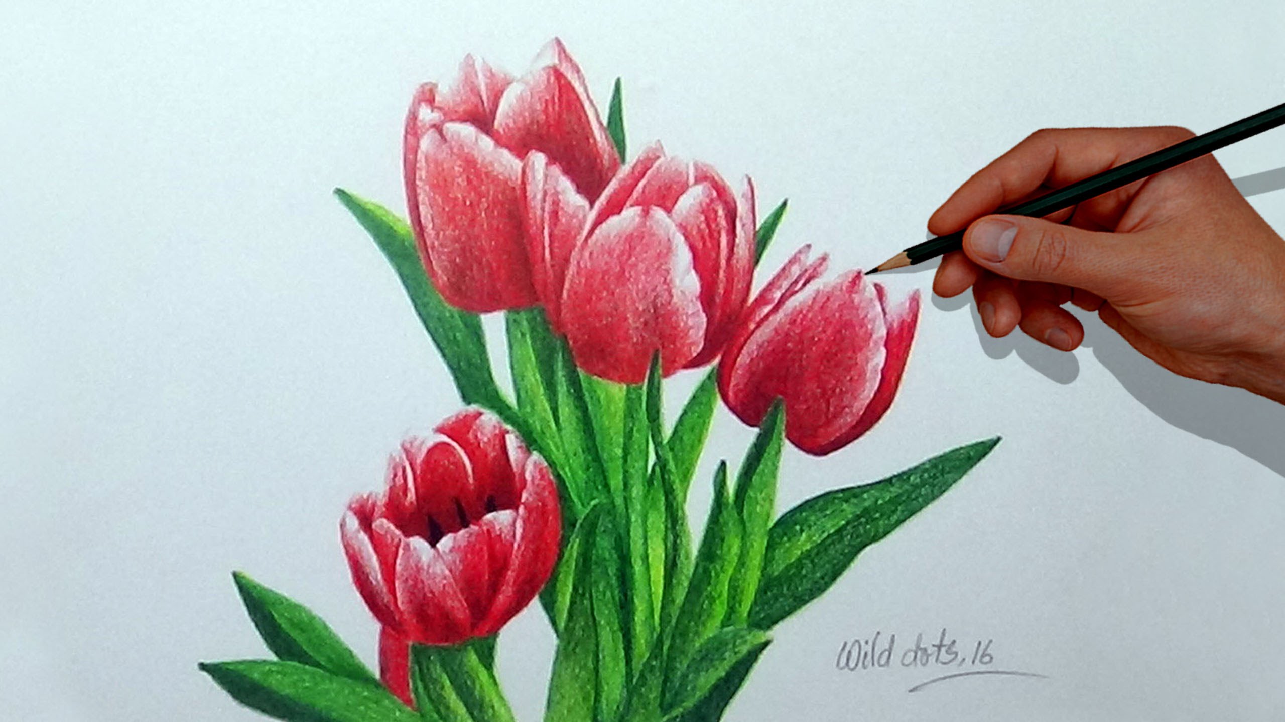 2560x1440 How To Draw A Flower With Simple Colored Pencils