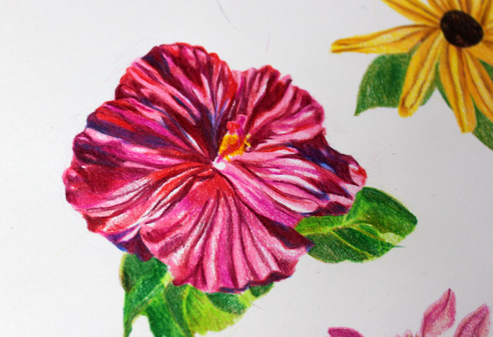 710x485 Drawing Flowers With Colored Pencils 5 Simple Steps