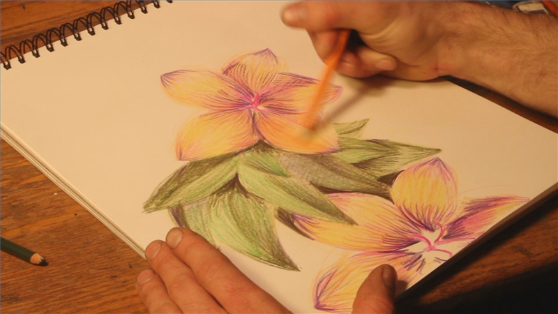 800x450 Video How To Draw Flowers With Colored Pencils Ehow