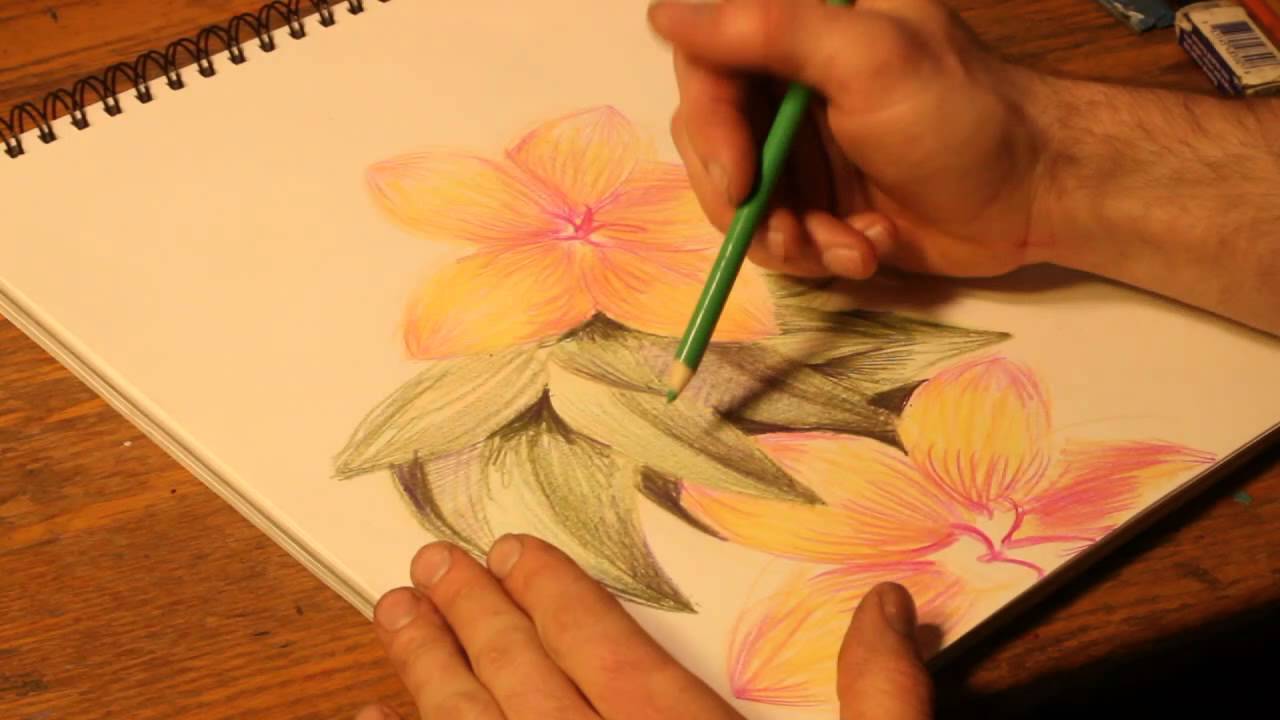 1280x720 How To Draw Flowers With Colored Pencils