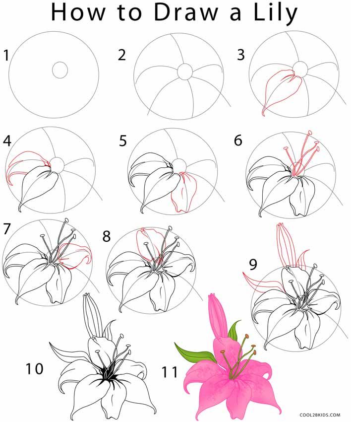 708x850 Pictures Of Flowers To Draw Step By Step Best 25 Flower Drawing