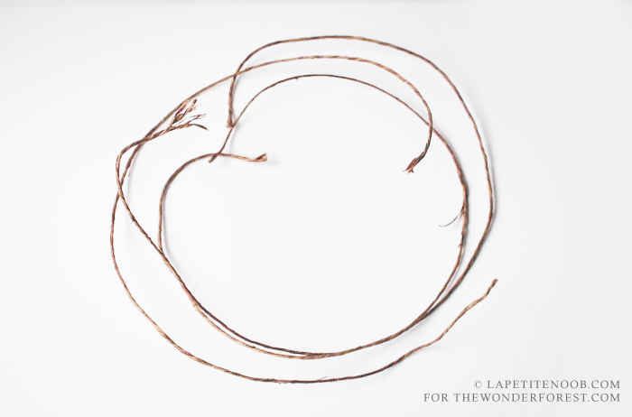 700x462 Diy Flower Crown Tutorial