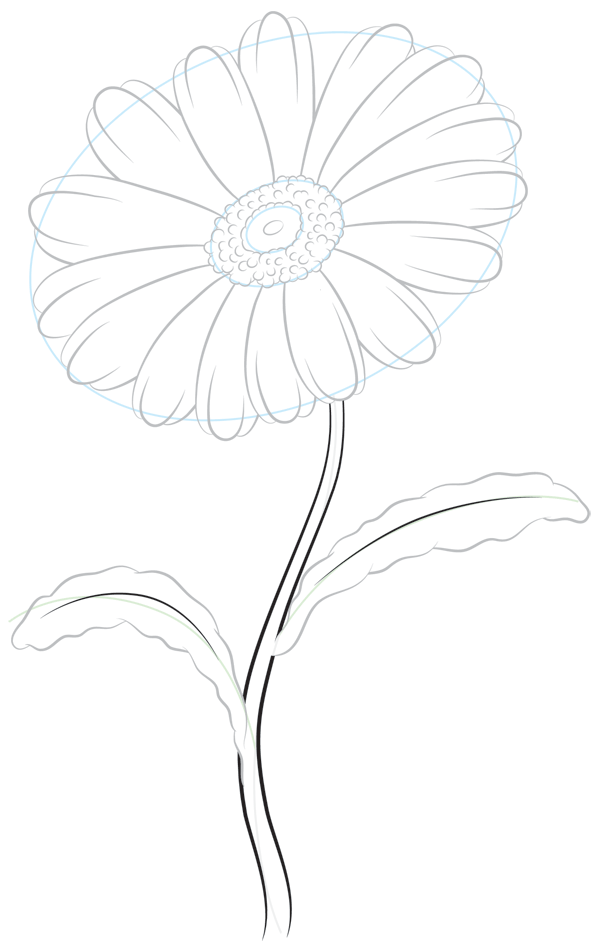 600x952 How To Draw A Daisy Step By Step