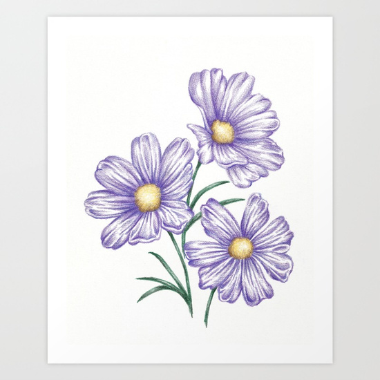 550x550 Purple Flower Garden Art Drawing Print Daisy Art Print By