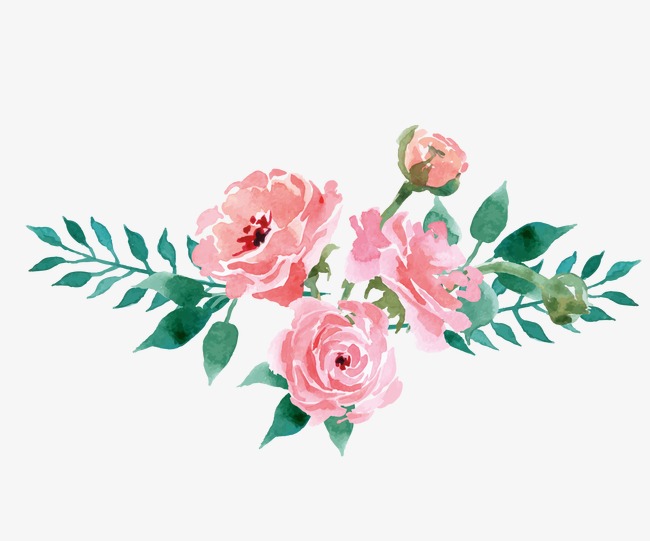 650x541 Floral Decoration, Drawing Plant, Flowers, Pink Flowers Png Image