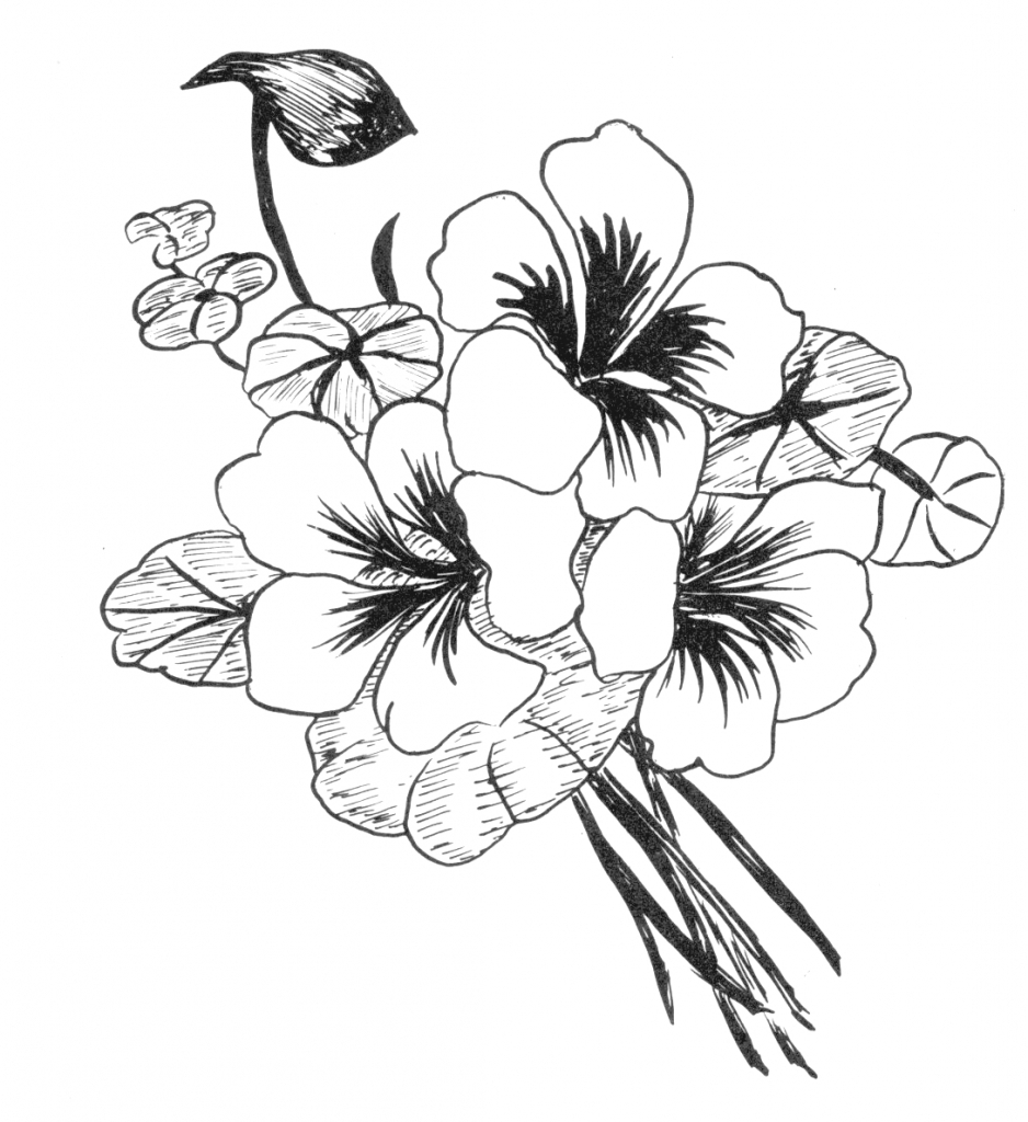 938x1024 Beautiful Flower Drawing Pretty Floral Designs Draw Paper